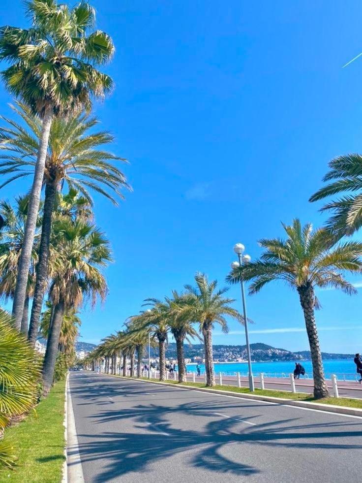 Suite Chic & Cosy, Hyper Centre, Proximite Plage, Nice Centre المظهر الخارجي الصورة
